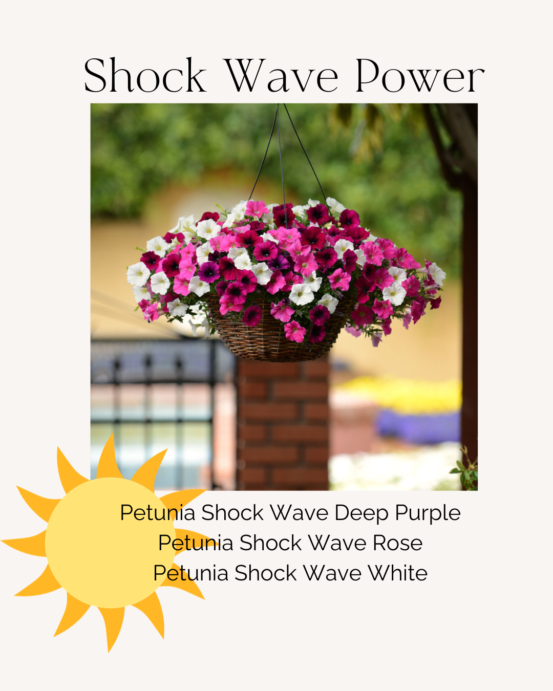 Shock Wave Power