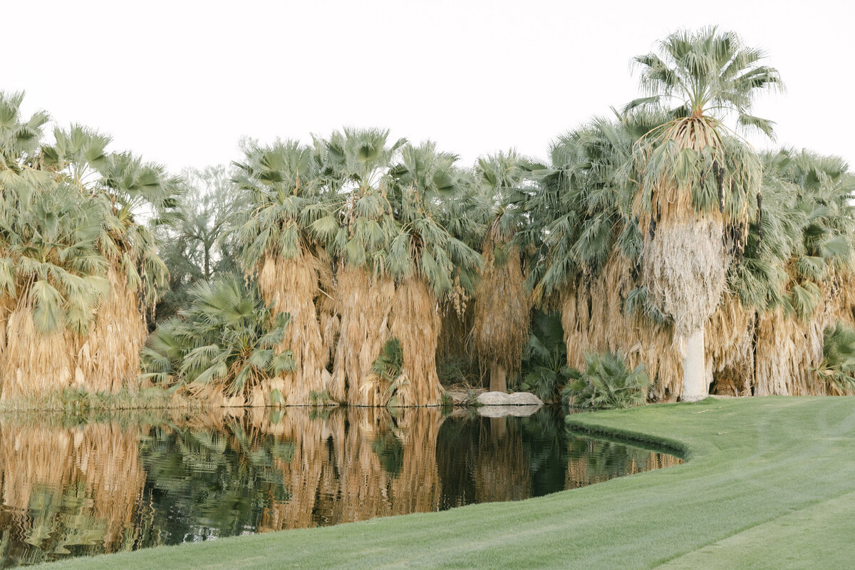 PERRUCCIPHOTO_DESERT_WILLOW_PALM_SPRINGS_WEDDING92