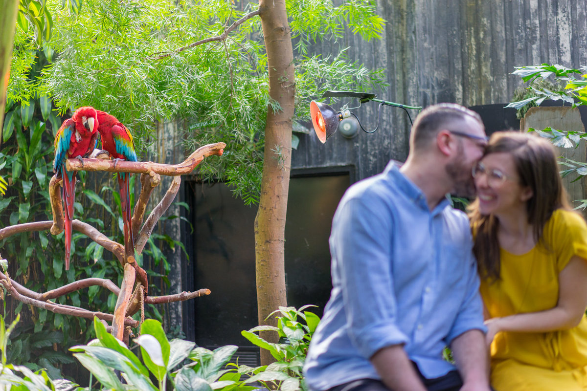 stacey-max-bloedel-conservatory-engagement (7 of 13)
