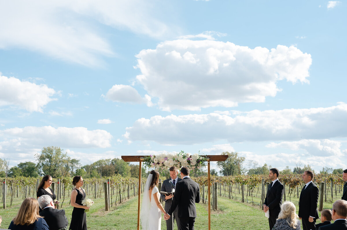 bride and groom holding hands during ceremony at daniels vineyard