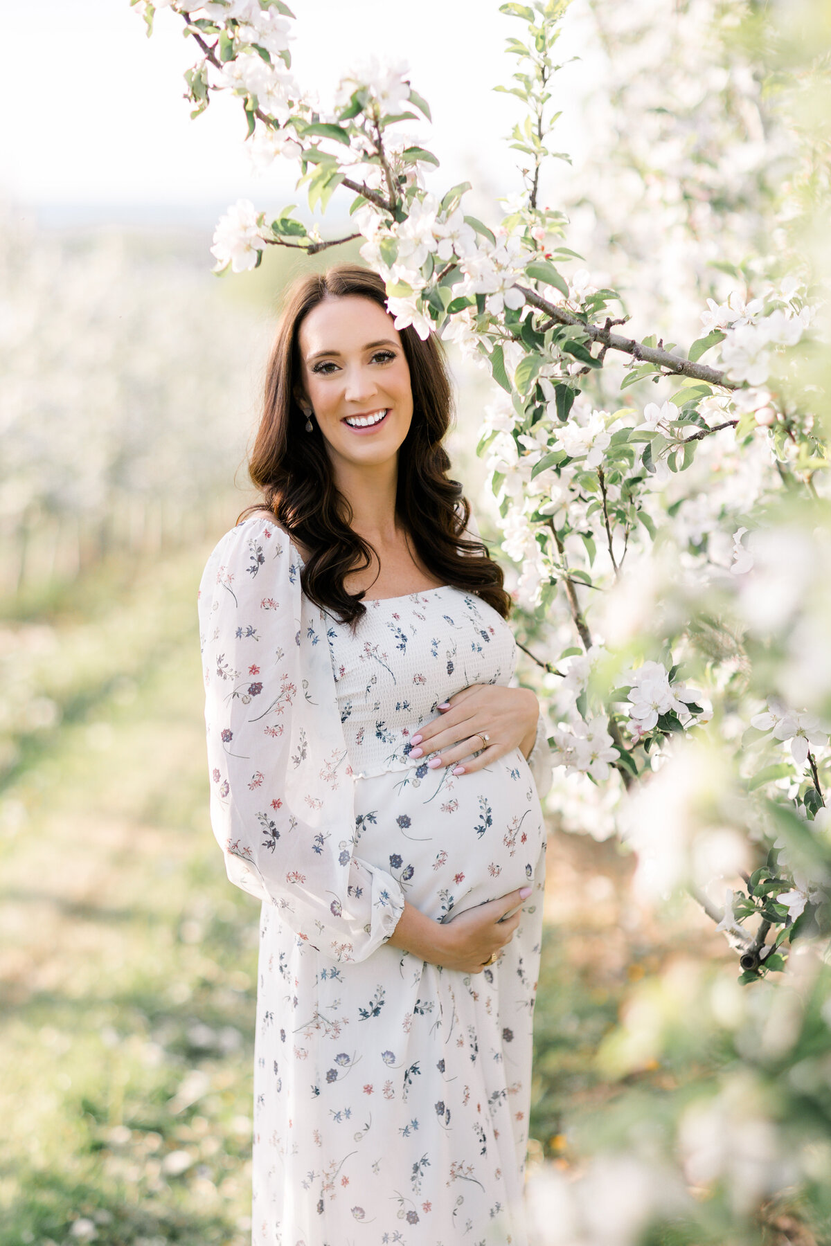 Terri-Lynn Warren Photography - Halifax Maternity Newborn Photographer Apple Blossoms-5165