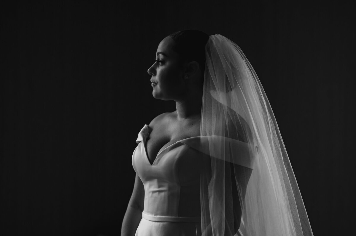 Window light shines up a bride's  vail