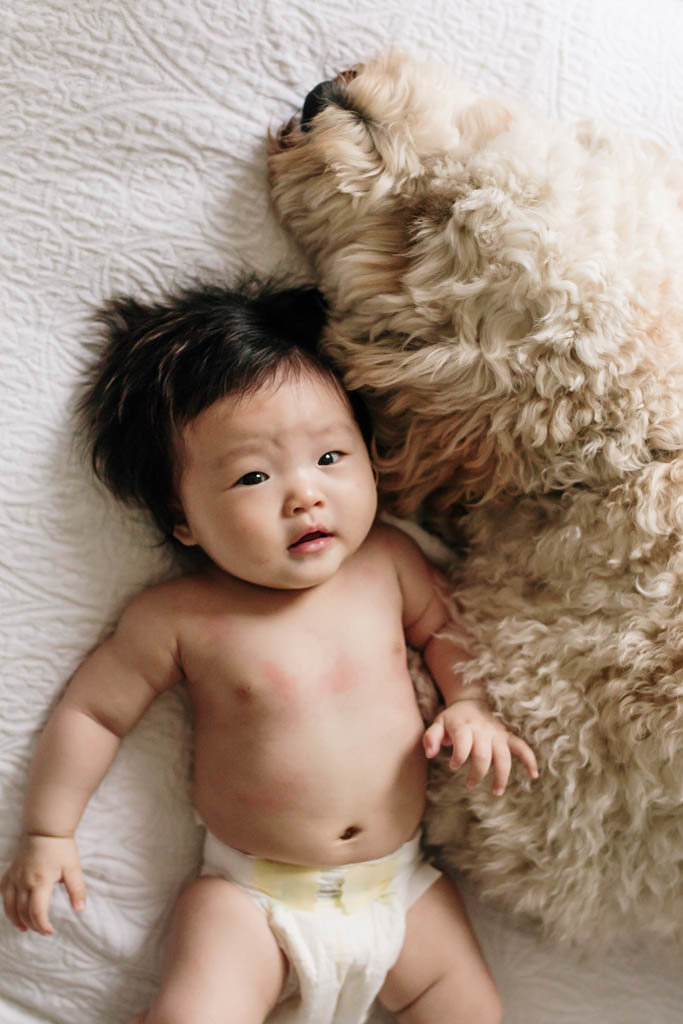 San Francisco in home photography of baby in diaper and dog