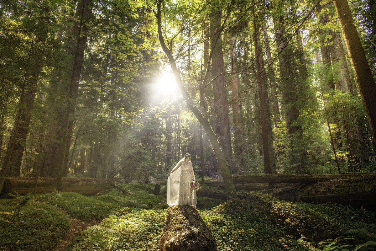 Redway-California-elopement-photographer-Parky's-Pics-Photography-redwoods-elopement-Avenue-of-the-Giants-Pepperwood-California-09.jpg