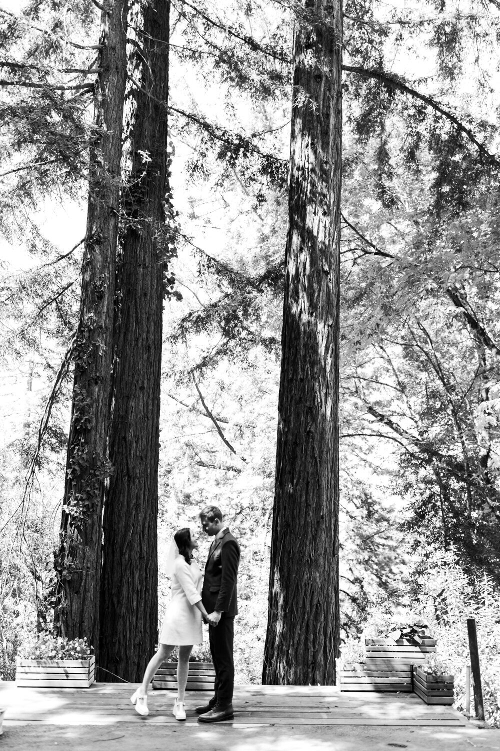Classic and Funky Wedding Inspiration Greer Rivera Photography Los Gatos California Bay Area Wedding Photography Inspiration