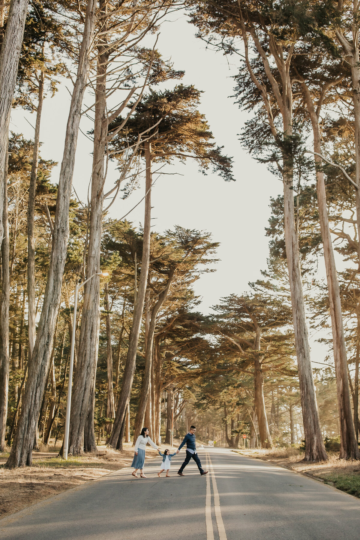 Family walks across tree lined street holding hands in San Francisco Presido