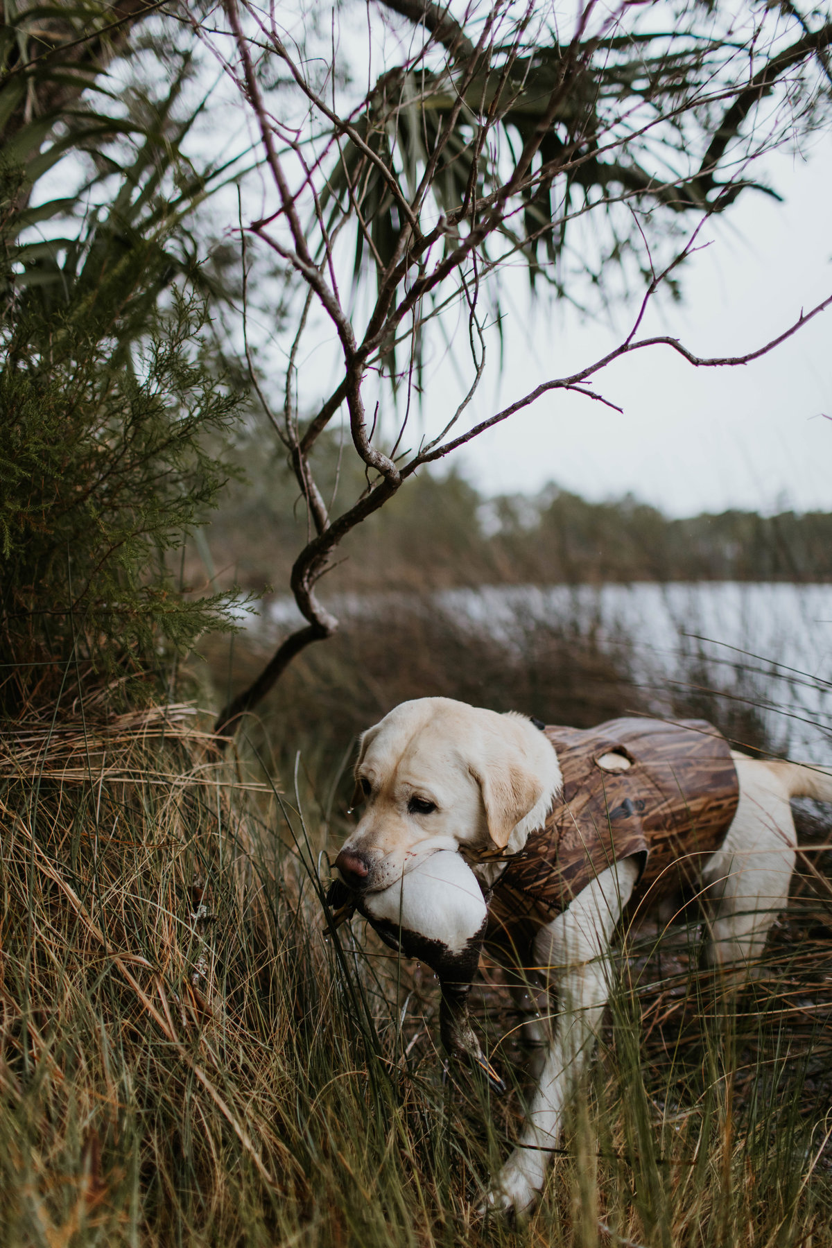 Charleston-sc-duck-hunting-lifestyle-photography-8