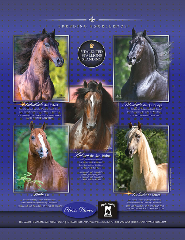 HorseHaven-PFHWJan2015-5Stallions-RGB-HR