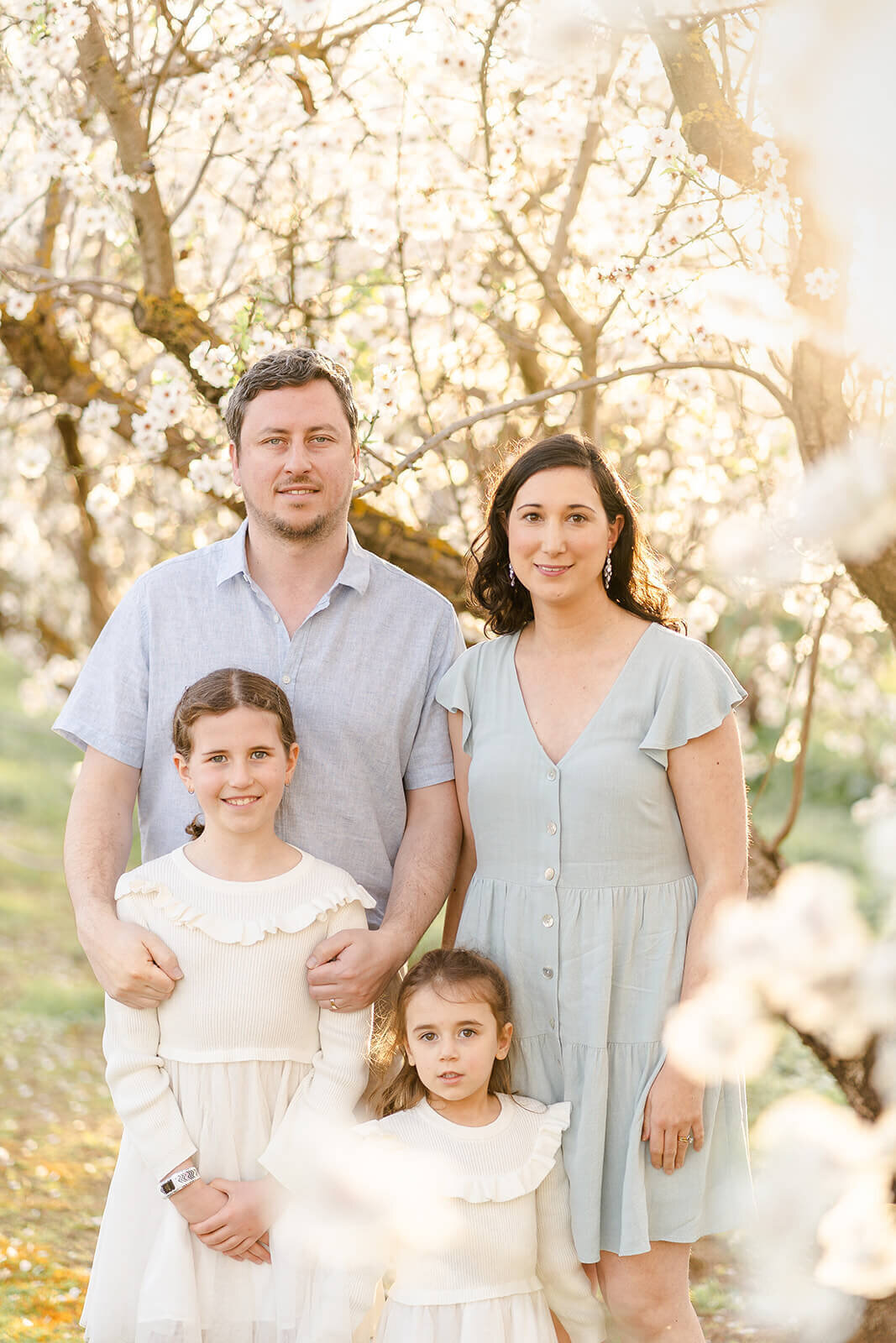 Family of 4 posing amidst blooming spring flowers in an almond blossom orchard at sunset in Brisbane
