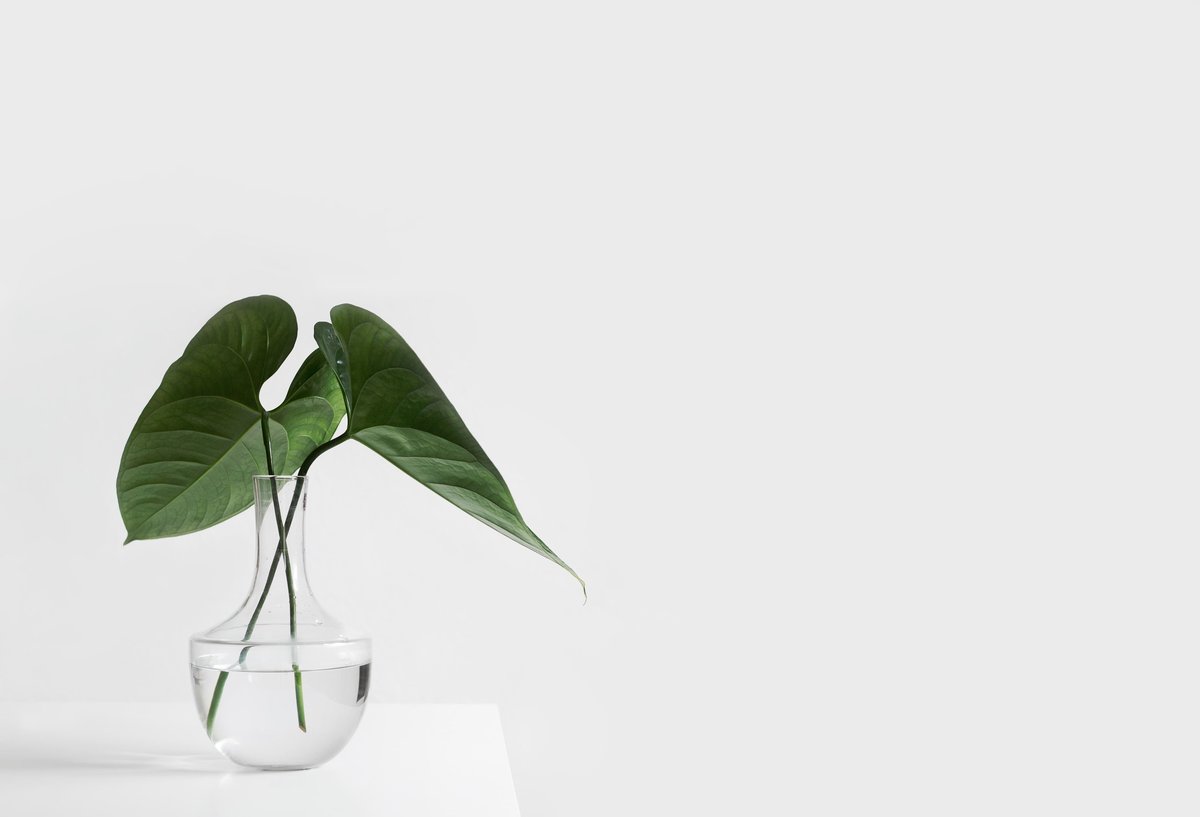 sarah-dorweiler-211779-unsplash-min
