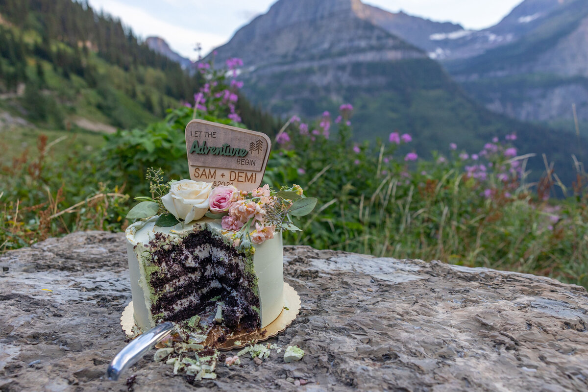 Glacier National Park Summer Wedding D&S (38)