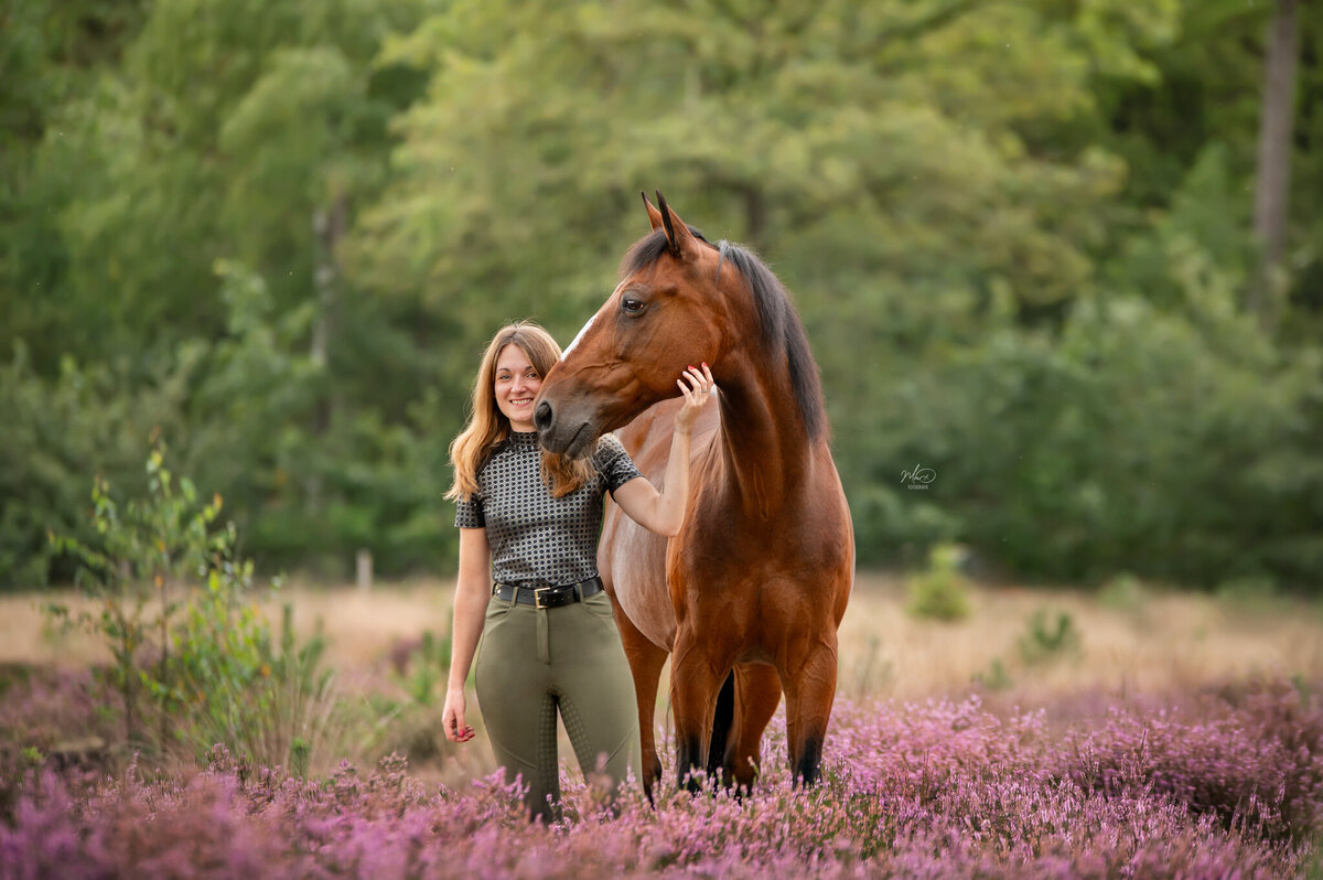Fotoshoot paard heide friesland (4)