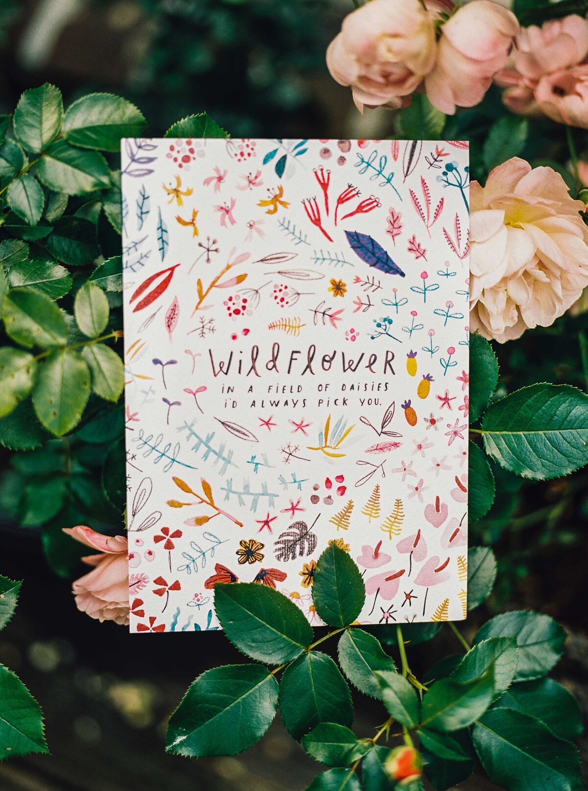 02.Shop_wildflowercard