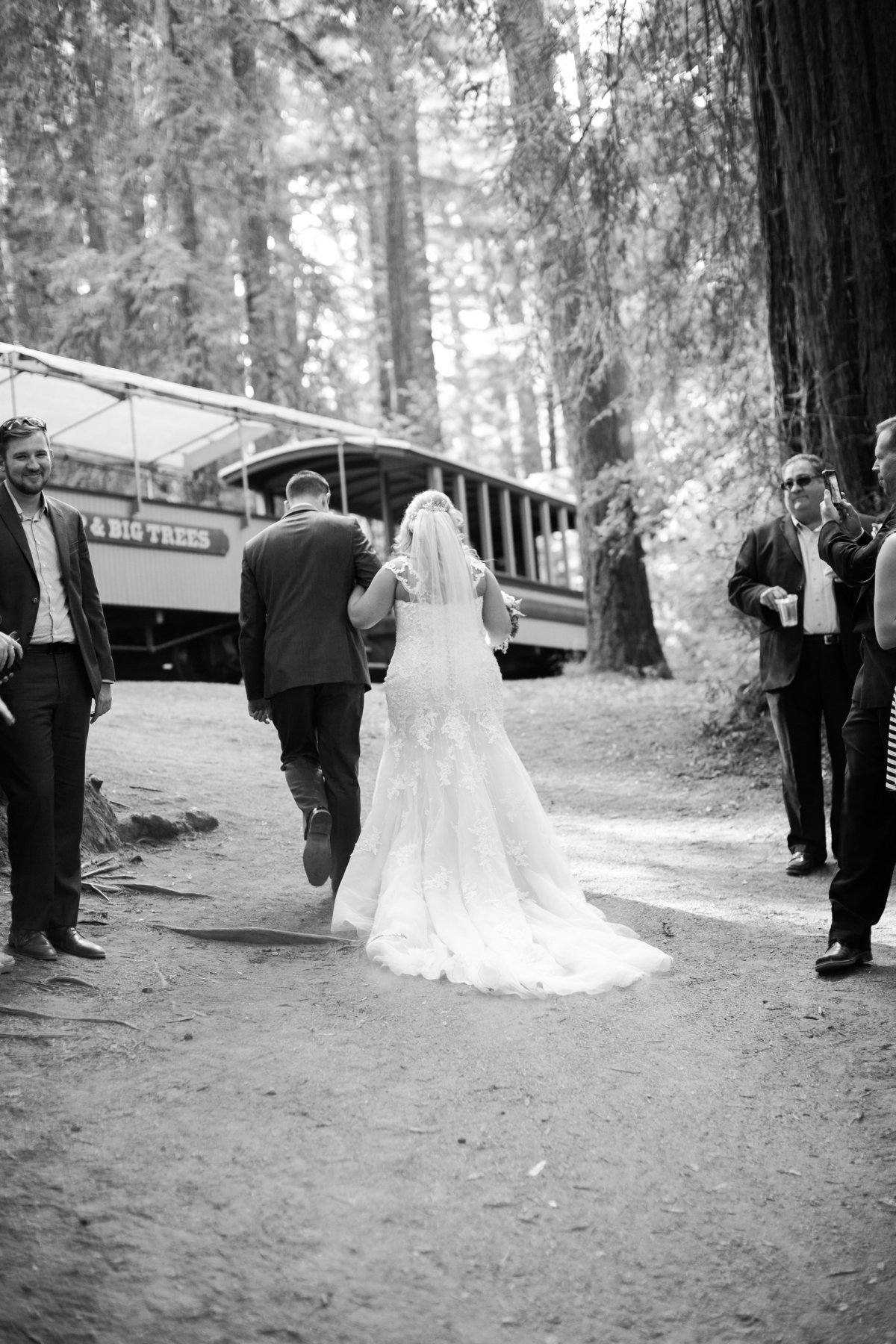 Roaring Camp Railroad Santa Cruz Wedding33