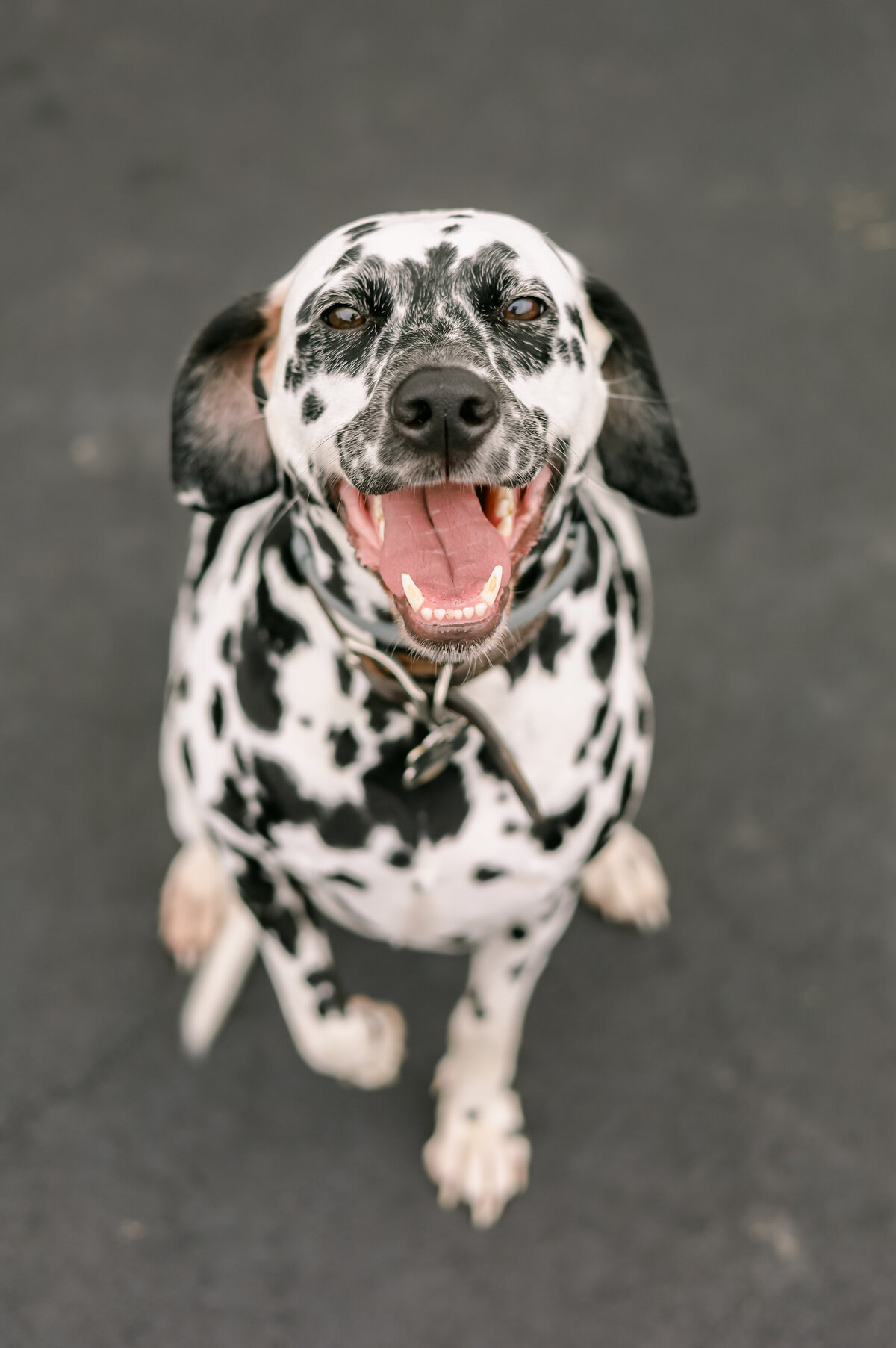 AEPHOTOGRAPHY+Baby Max-23