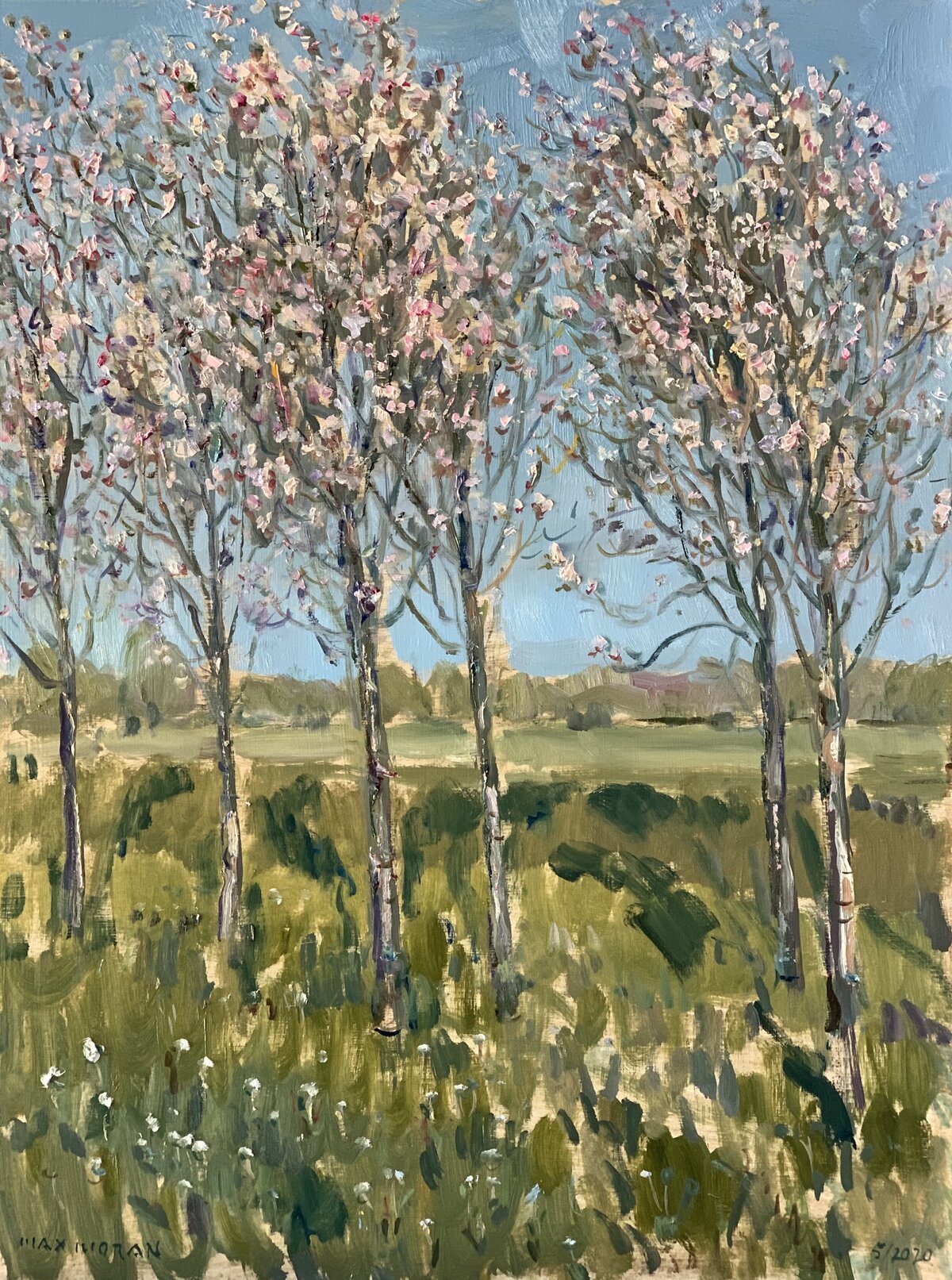 Spring Blossoms in the Nursery 18 x 24 oil on panel 3,500