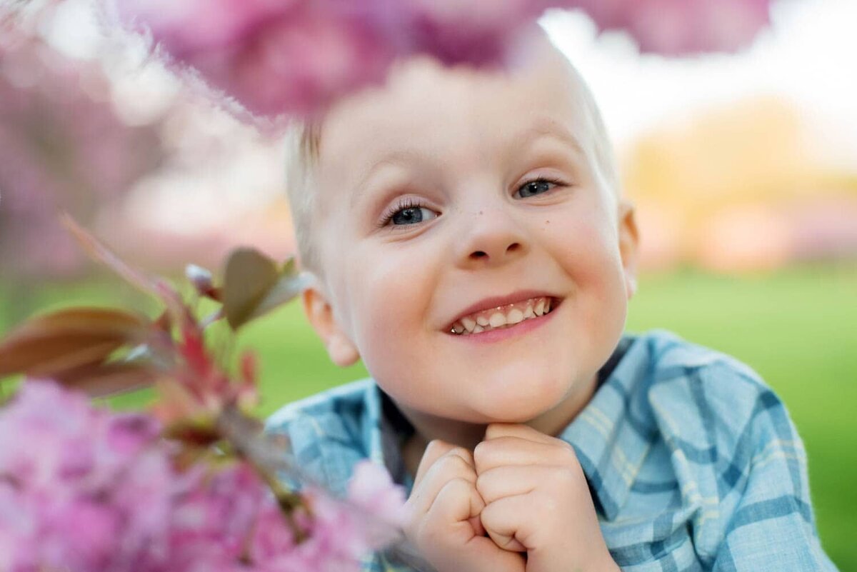 Young boy smiling with hands under chin wearing a vibrant blue plaid dress shirt up close with cherry blossoms..