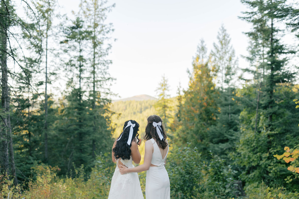 mtspokaneelopement-15