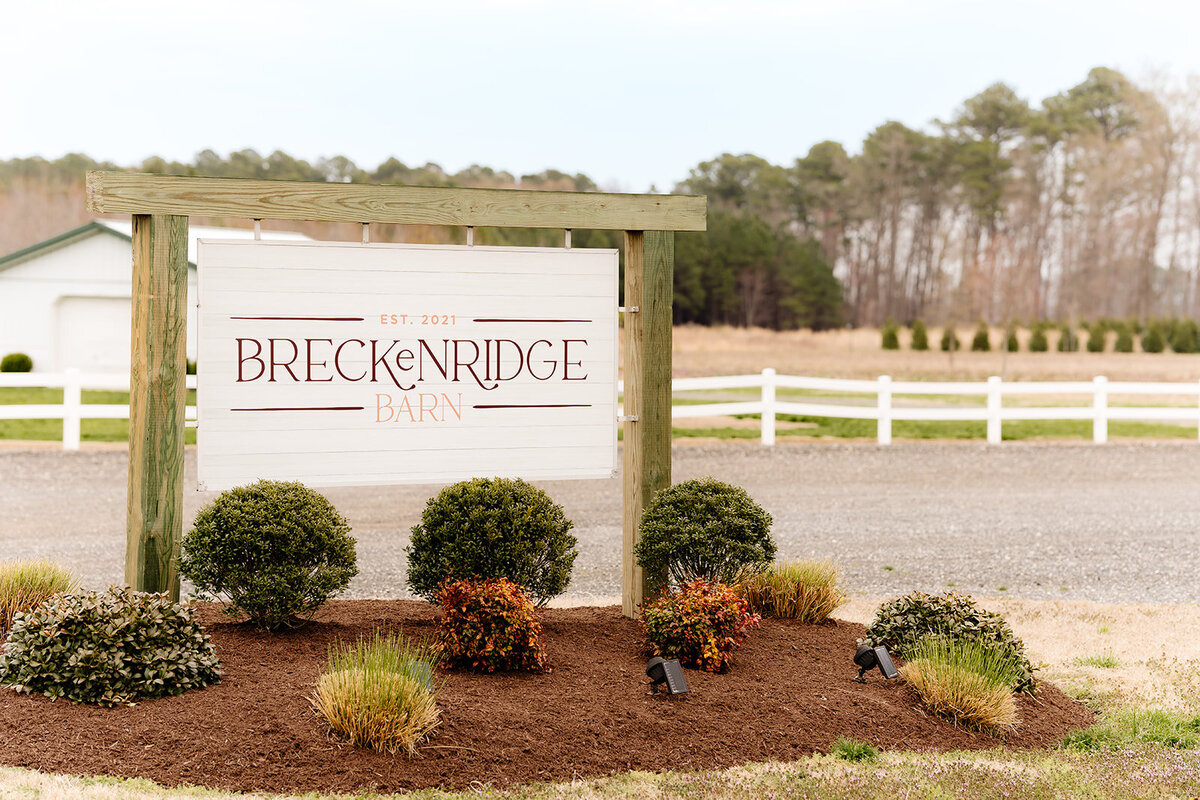 washington dc wedding photographer 2