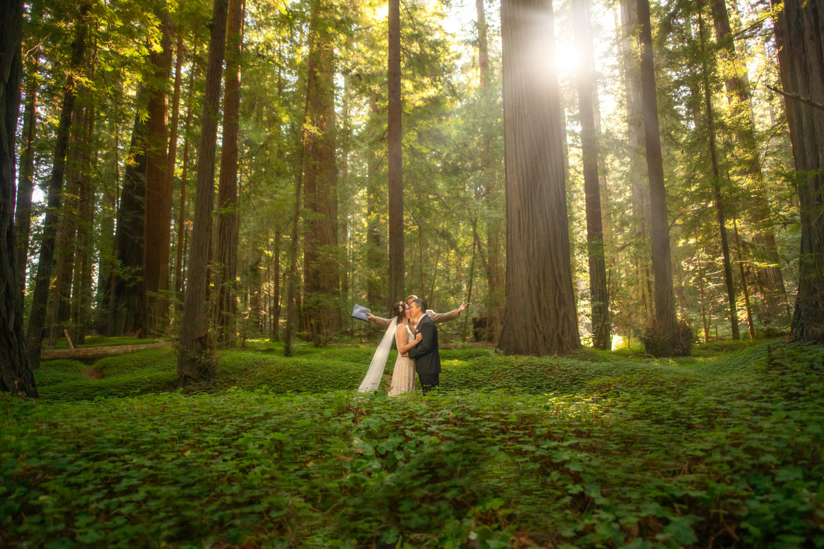 Redway-California-elopement-photographer-Parky's-Pics-Photography-redwoods-elopement-Avenue-of-the-Giants-Pepperwood-California-02.jpg