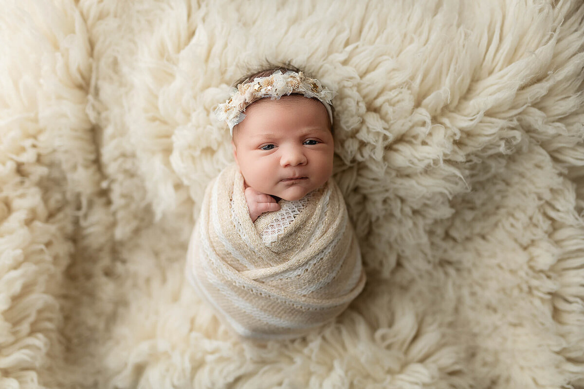 Beautiful baby girl wrapped for her newborn session.