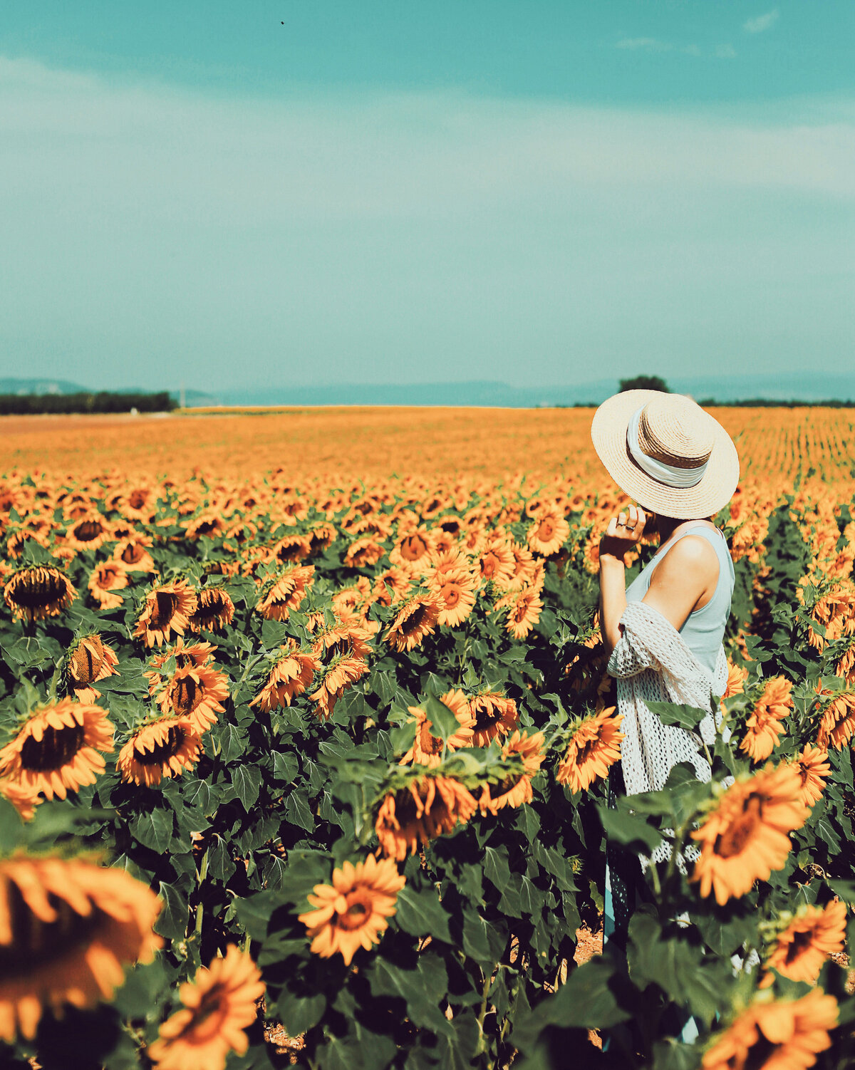 nellia-kurme-7EtSw7xOOGs-unsplash