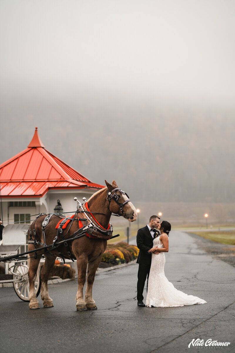 Omni-Mount-Washington-Wedding--2