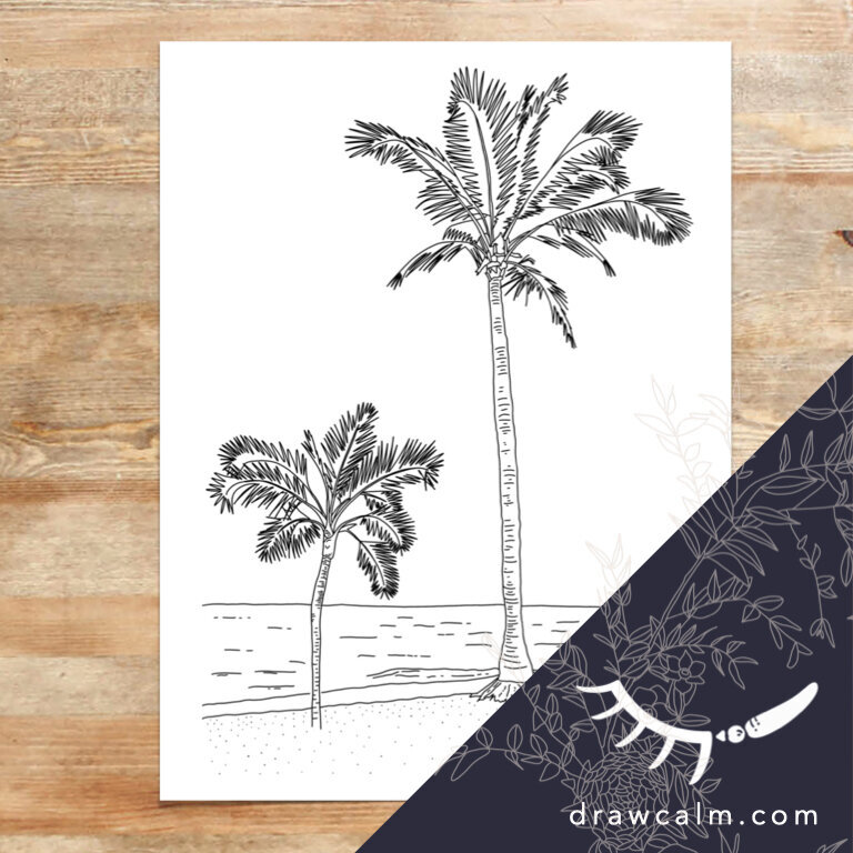 coloring-page-palm-tree