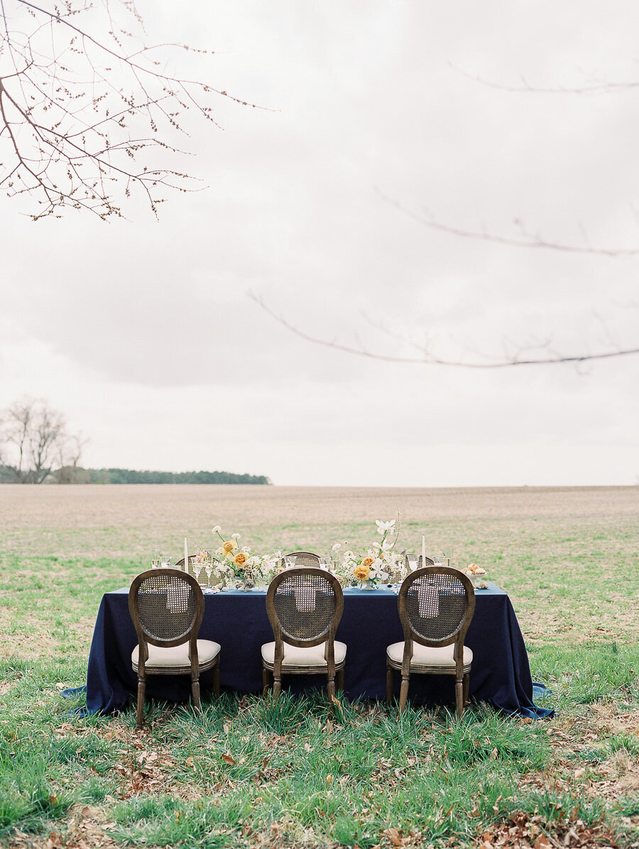 Graceful_Countryside_Fine_Art_Bridal_Maryland_Wedding_Megan_Harris_Photography-108