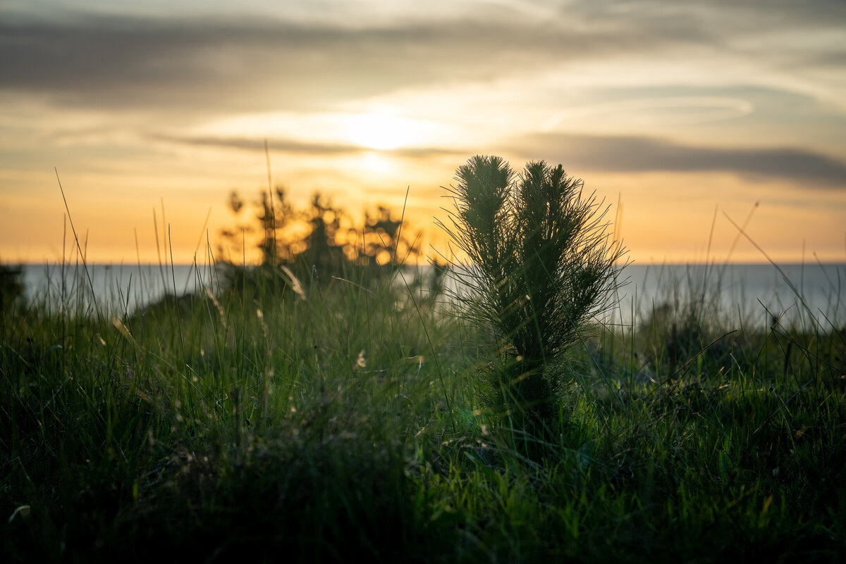 DSC01124-HDR