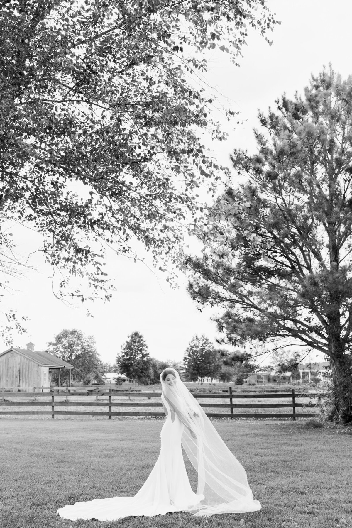 ranch bride