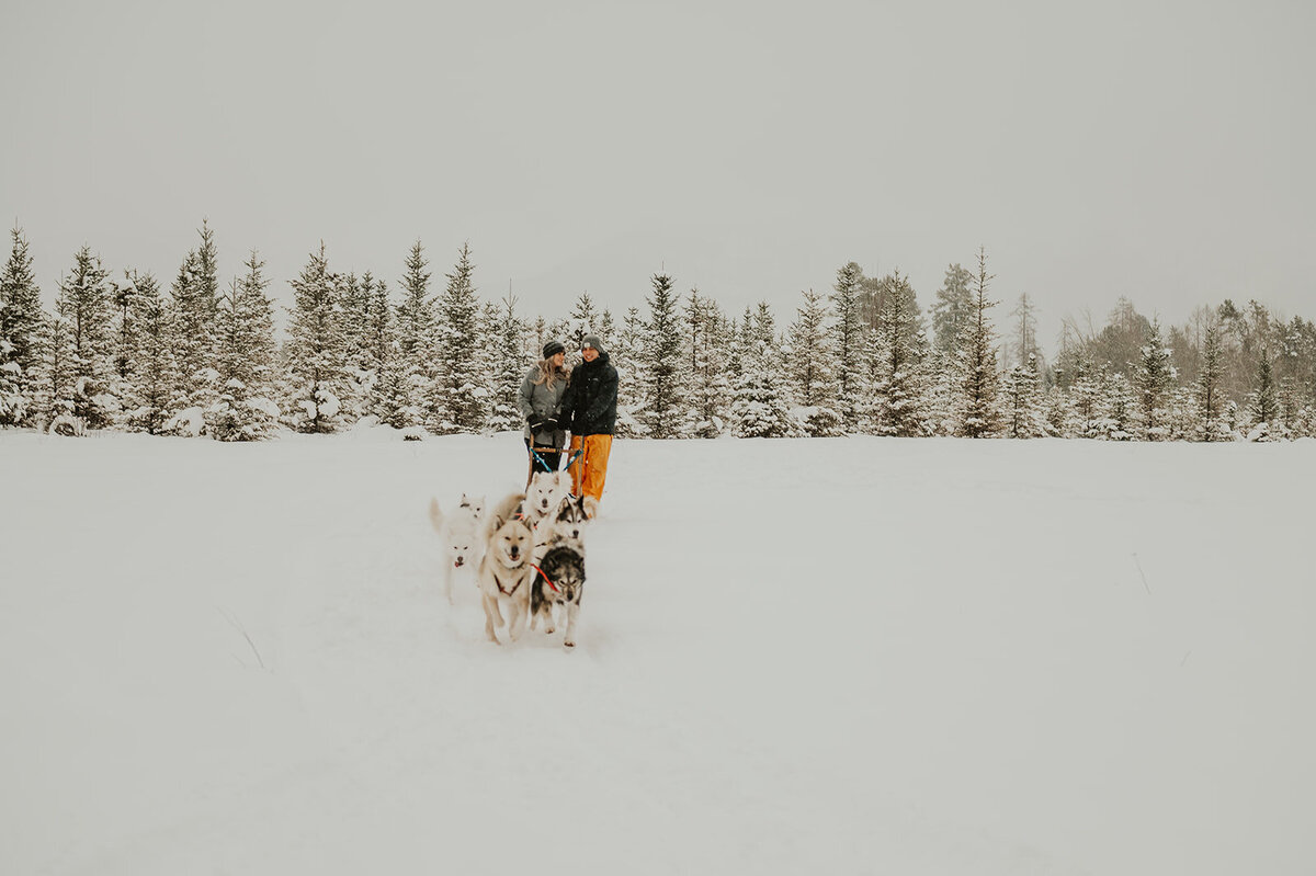 winter-montana-dog-sledding-proposal-presley-gray-photo-7440