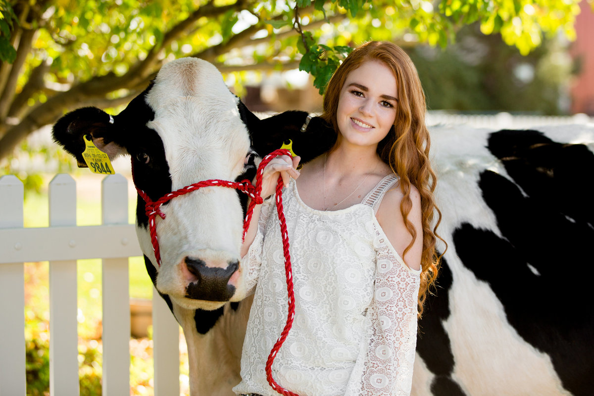 colorado-senior-pictures-with-cow