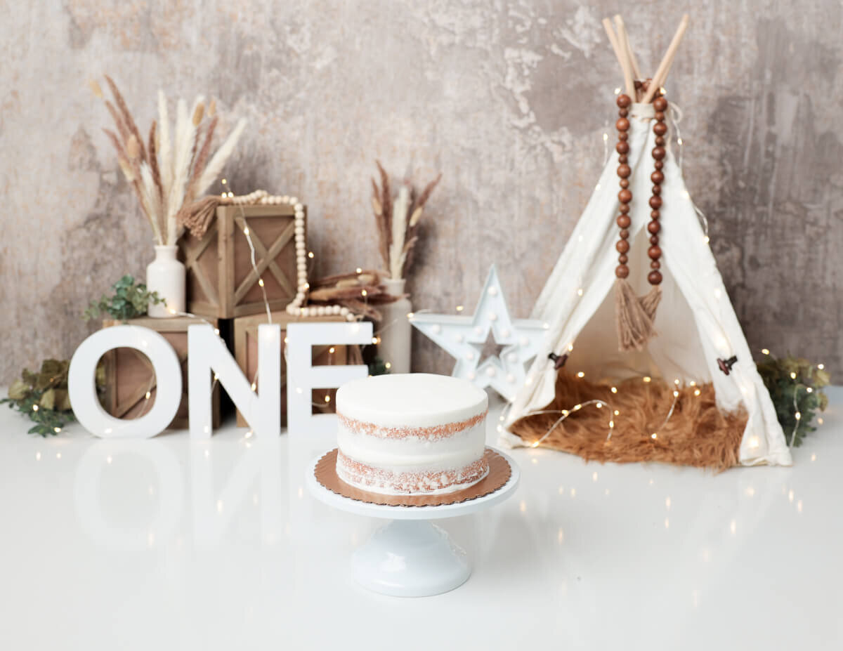 Boho themed birthday cake smash session in Rochester, NY.