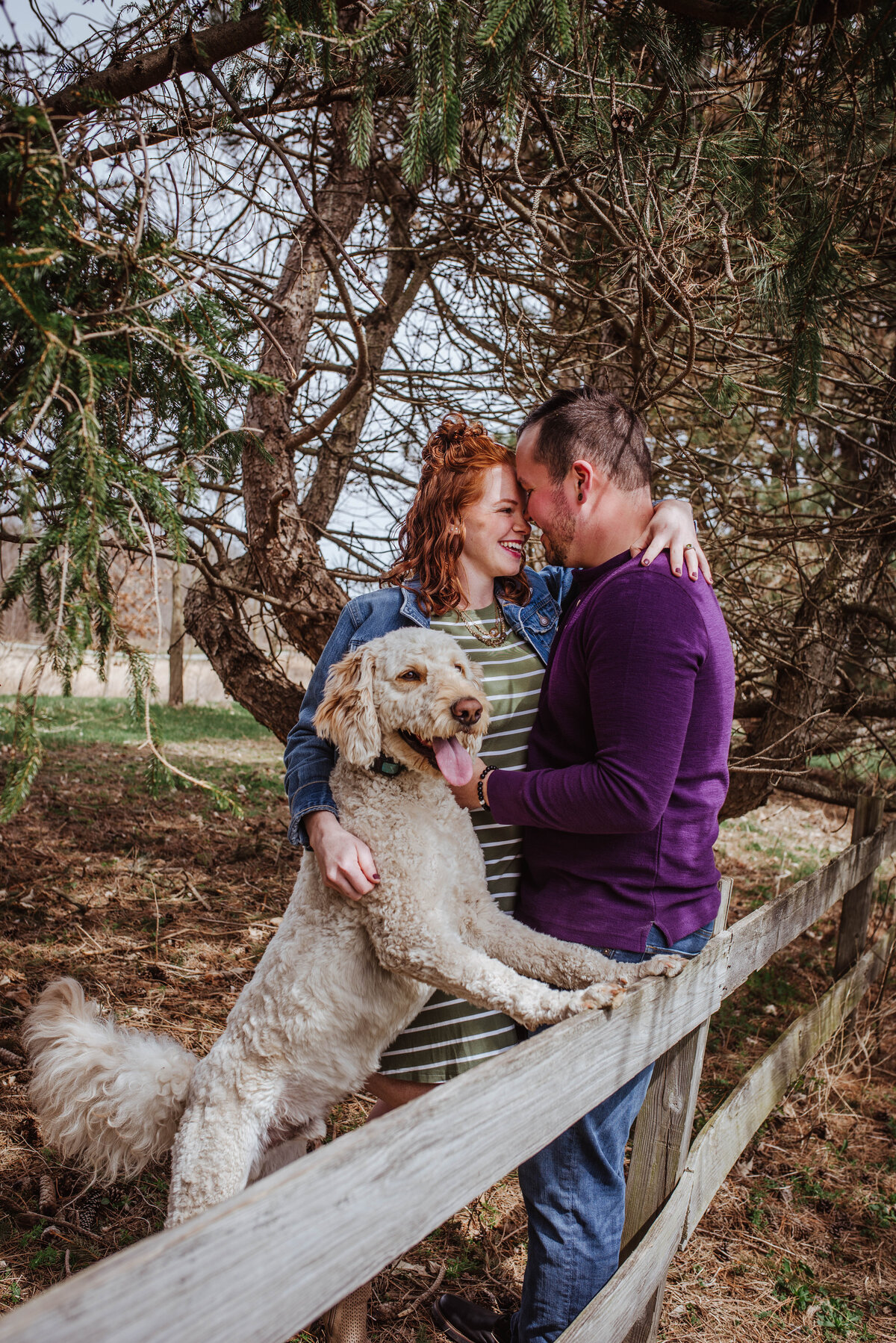 Engagement Wedding Photo on fence with dog