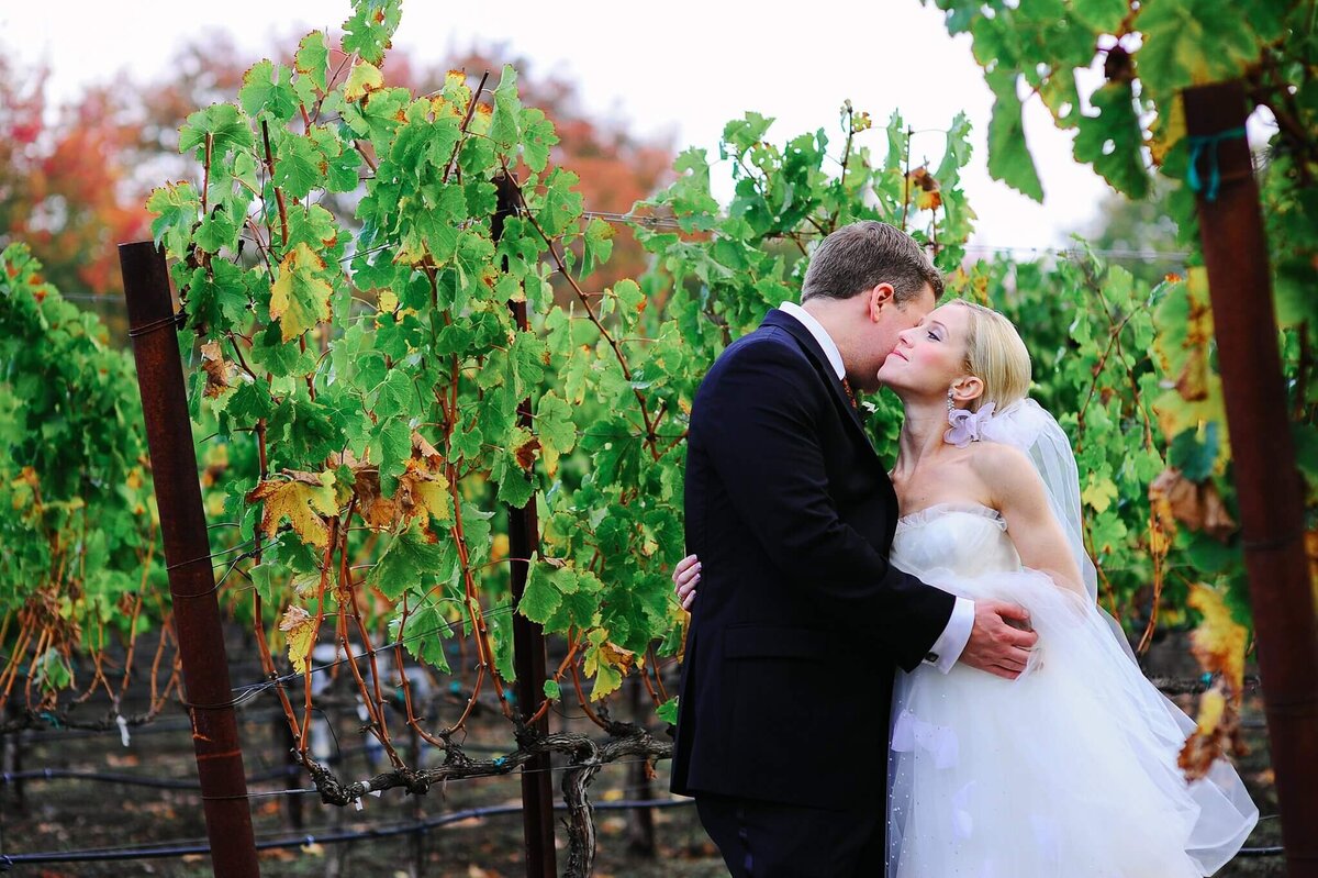 Couple in vineyards at St-Helena wedding