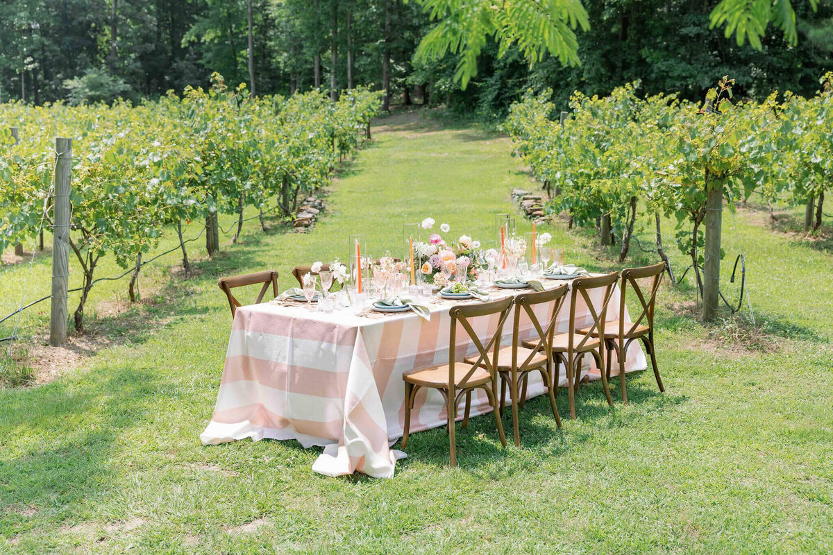 wedding table set up amongst the vineyards at koury farms