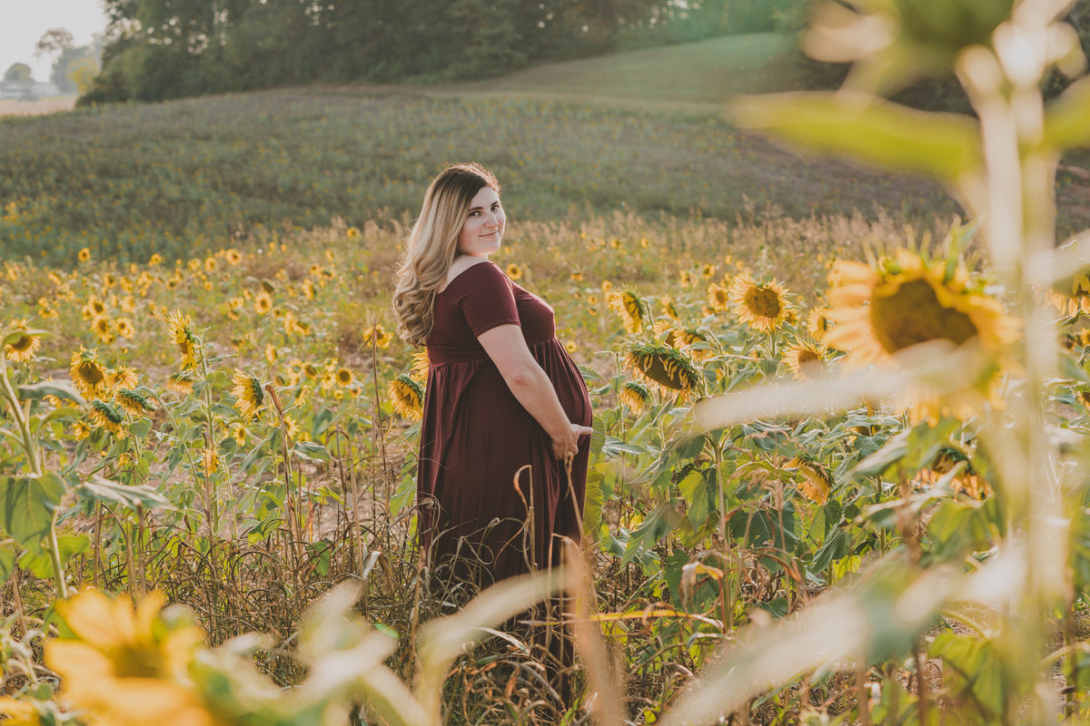 epic sunflower portraits for maternity  knoxville