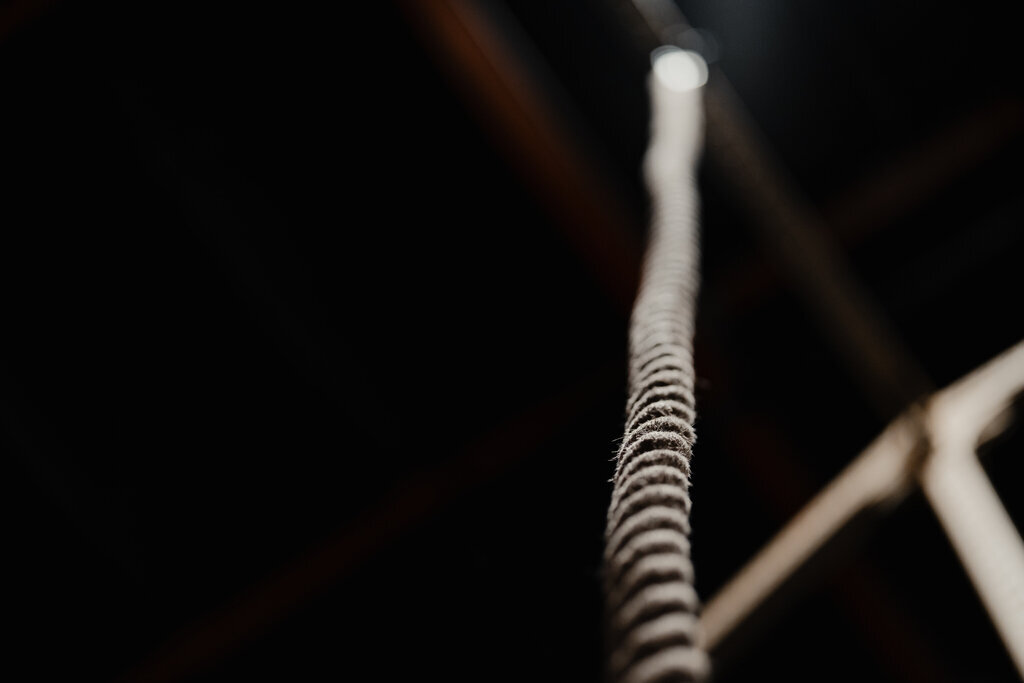_DSC1869
