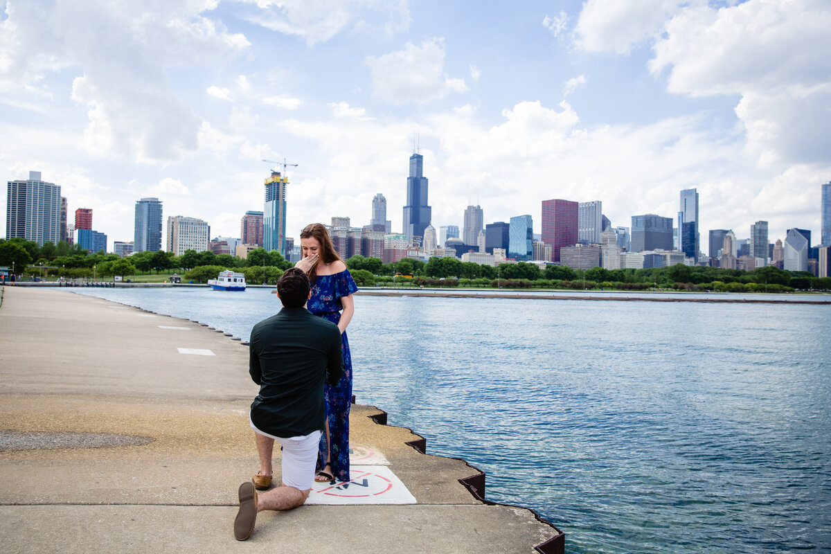 Chicago Wedding proposal