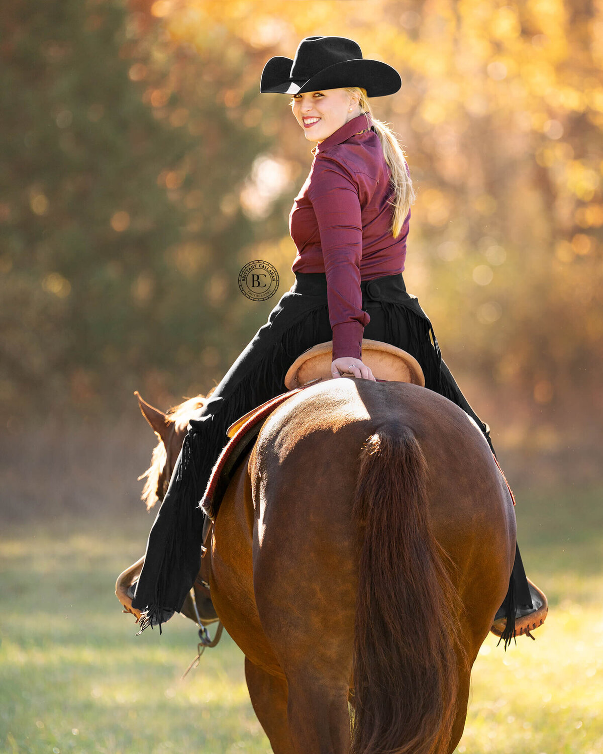 Southern-illinois-horse-photographer-#30