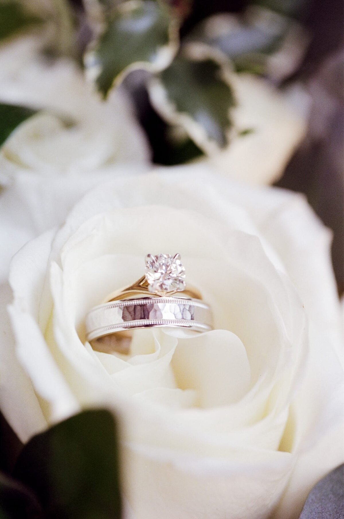 Beautifully-cut diamond made into a diamond ring and placed on top of a white rose bulb.