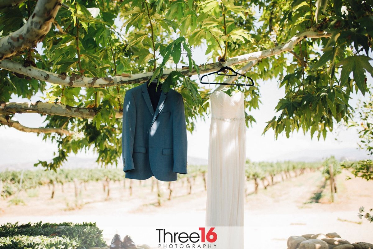Groom jacket and Bride's dressing hanging from a tree