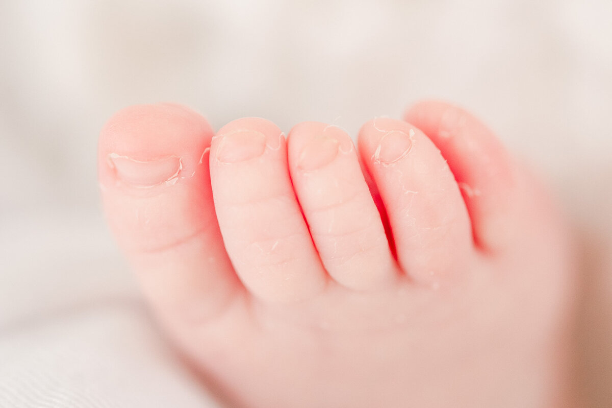 Macro image of newborn baby toes