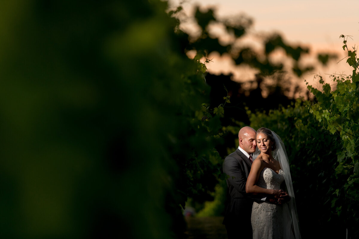 Folino Estate Wedding  photography portraits