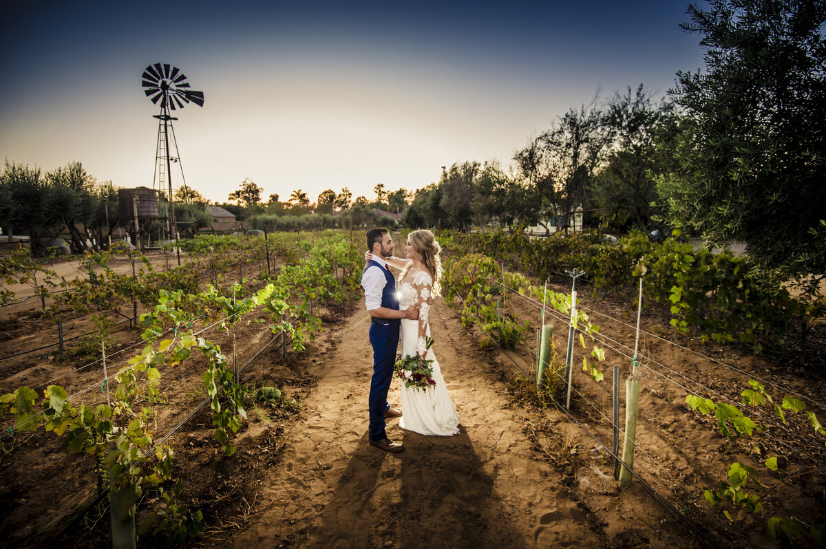 San-Diego-Wedding-Photographer-Bernardo-Winery-177