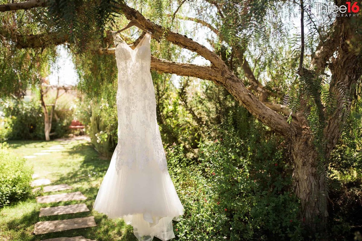 Wedding Gown hanging from a tree