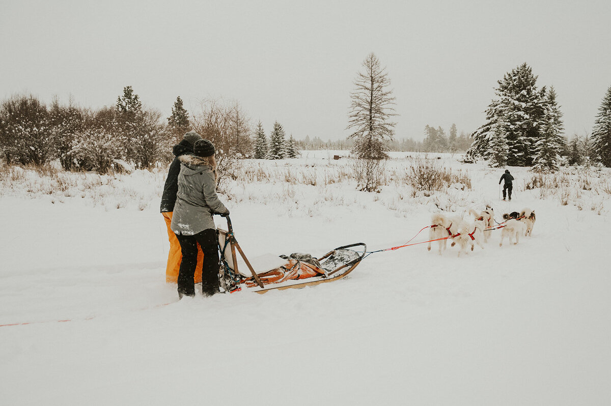 winter-montana-dog-sledding-proposal-presley-gray-photo-7287