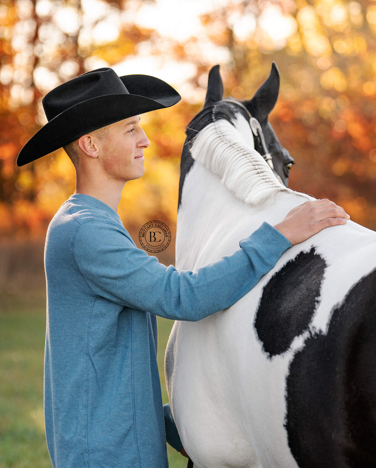 Southern-illinois-horse-photographer-#43