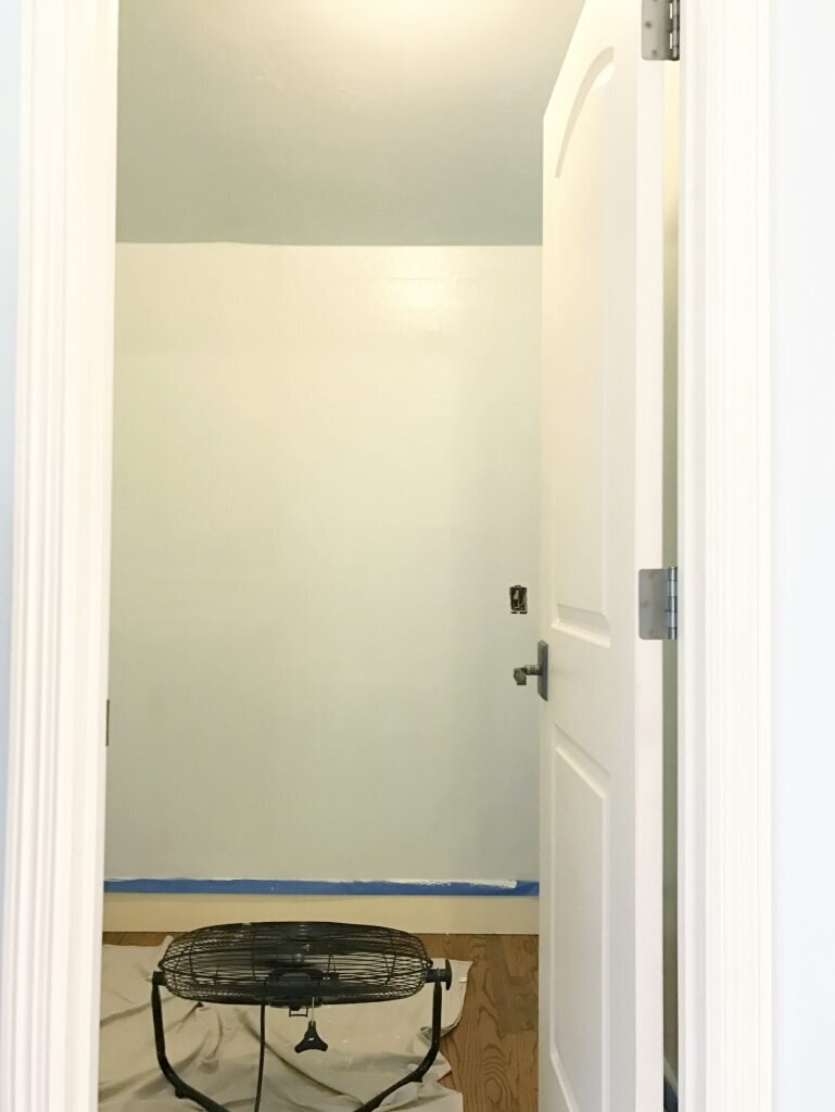 painting-the-closet-before-installation-769x1024